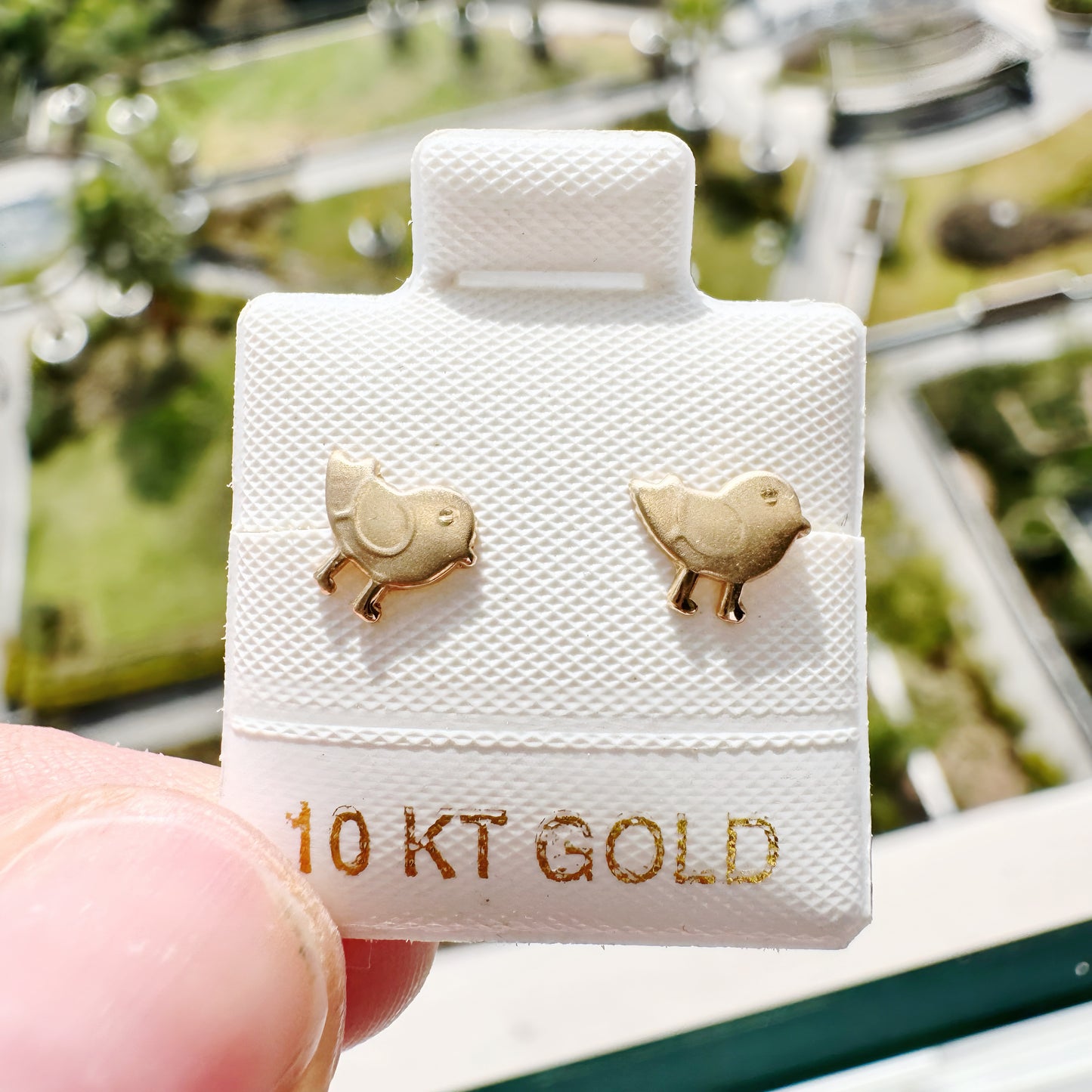 Arete Broquel Oro 10k Pájaro